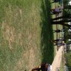 parque