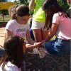 parque
